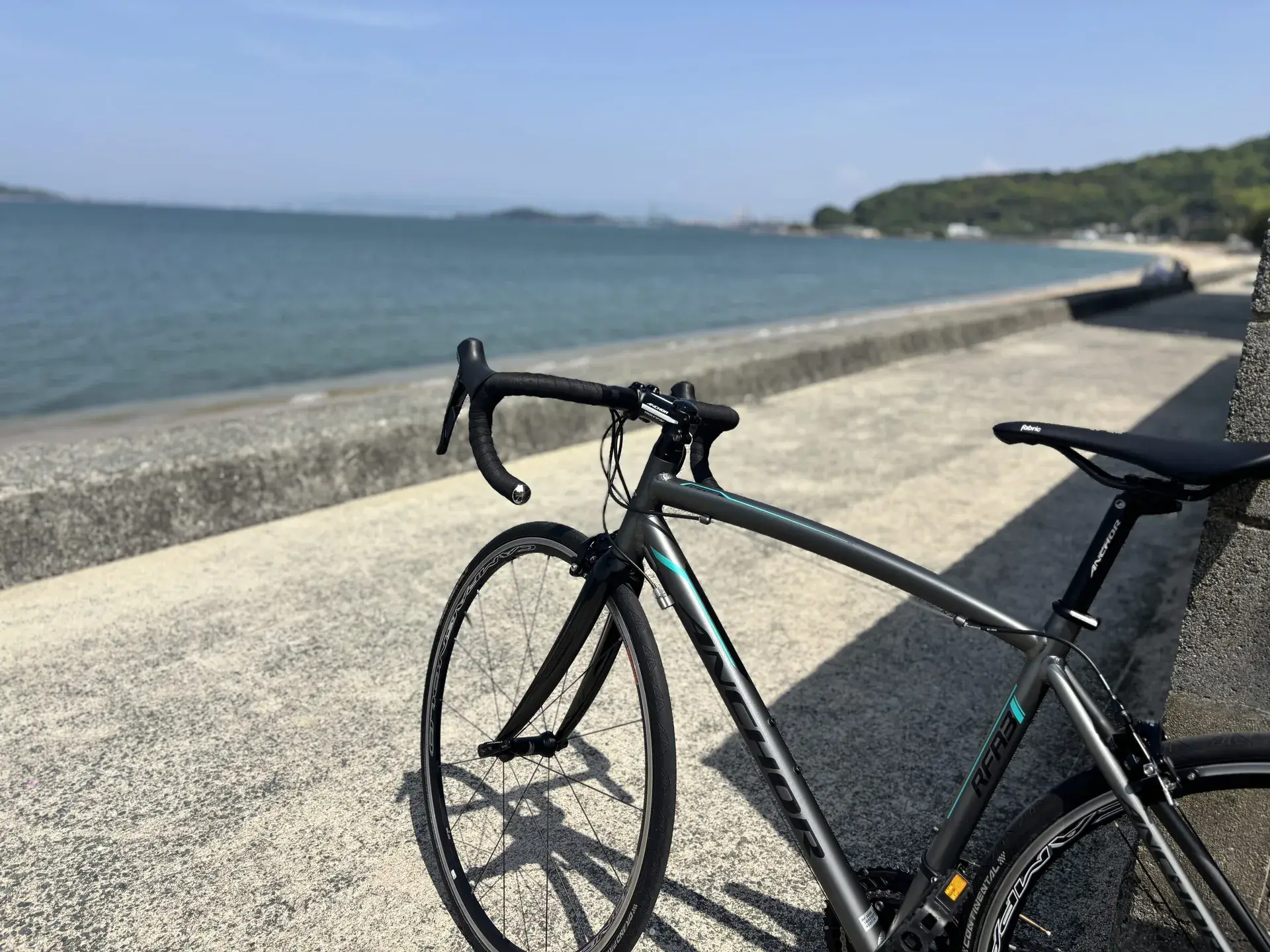霞ヶ浦の湖畔に停まるロードバイク